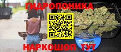 гашик Чапаевск